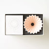 Origami Box ORIGAMI - DripperM Kit + carafe + filters